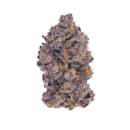 Black Truffle Strain